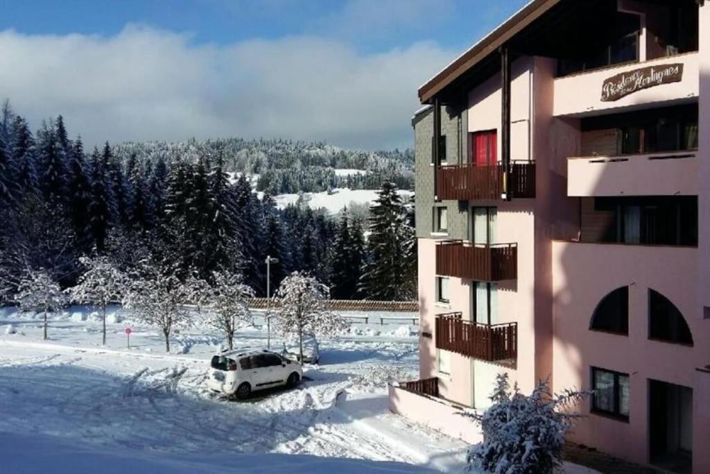 Appartement Montagne La Vallee Verte Coeur Station Hirmentaz Bellevaux Eksteriør bilde