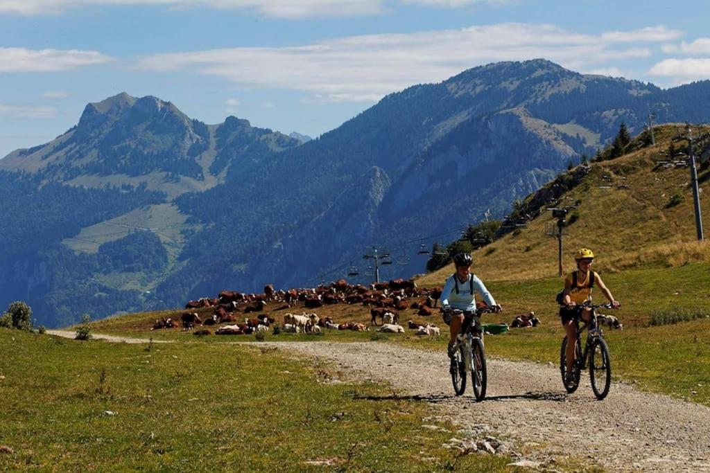 Appartement Montagne La Vallee Verte Coeur Station Hirmentaz Bellevaux Eksteriør bilde