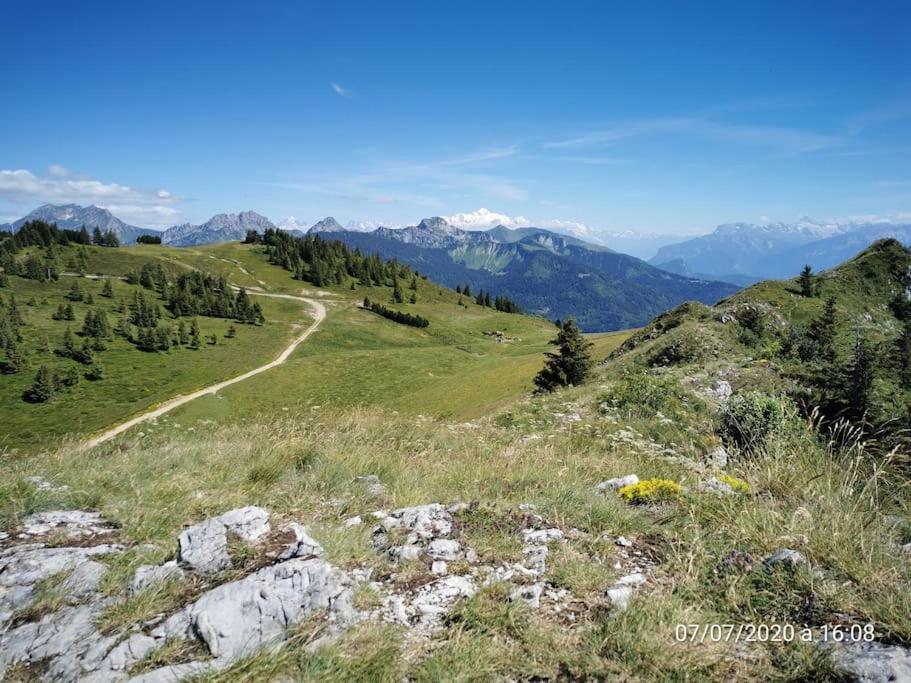 Appartement Montagne La Vallee Verte Coeur Station Hirmentaz Bellevaux Eksteriør bilde